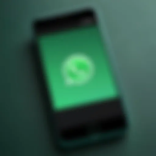 WhatsApp logo displayed on a smartphone screen