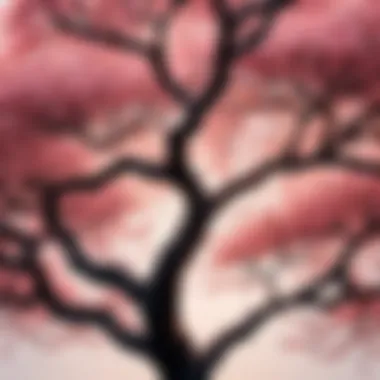 Japanese Cherry Blossom Tree Seeds - Timeless Beauty Japanese Cherry Blossom Tree Seeds - Timeless Beauty