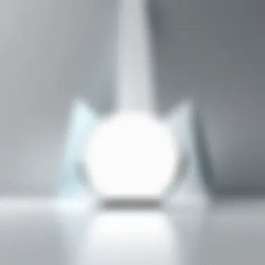 A well-lit subject against a minimalist background