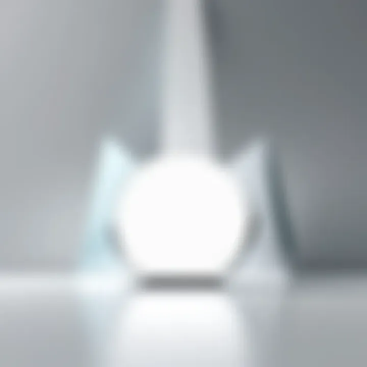 A well-lit subject against a minimalist background