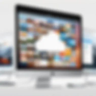 Efficient Photo Management in iCloud Organizing photos in iCloud