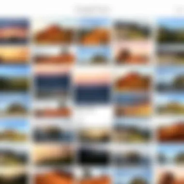 Curating Visual Memories in Google Photos A collage of diverse photographs organized in Google Photos