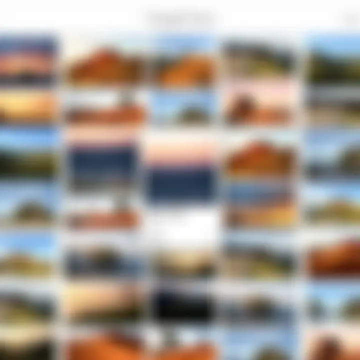 Curating Visual Memories in Google Photos A collage of diverse photographs organized in Google Photos