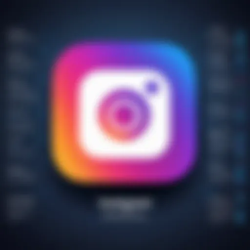 Visual representation of Instagram support channels