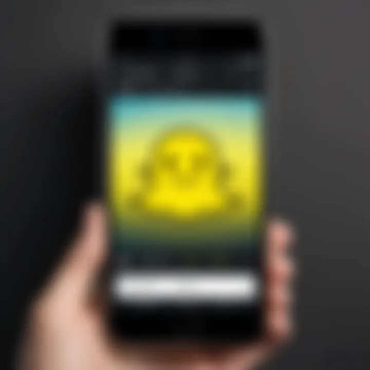 Installation settings for Snapchat application