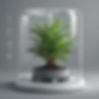 Care Recommendations Personalized Plant Care Recommendations