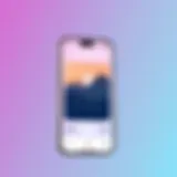 Screenshot of a photo lock app interface on iPhone