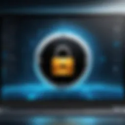 Secure photo vault software interface on PC