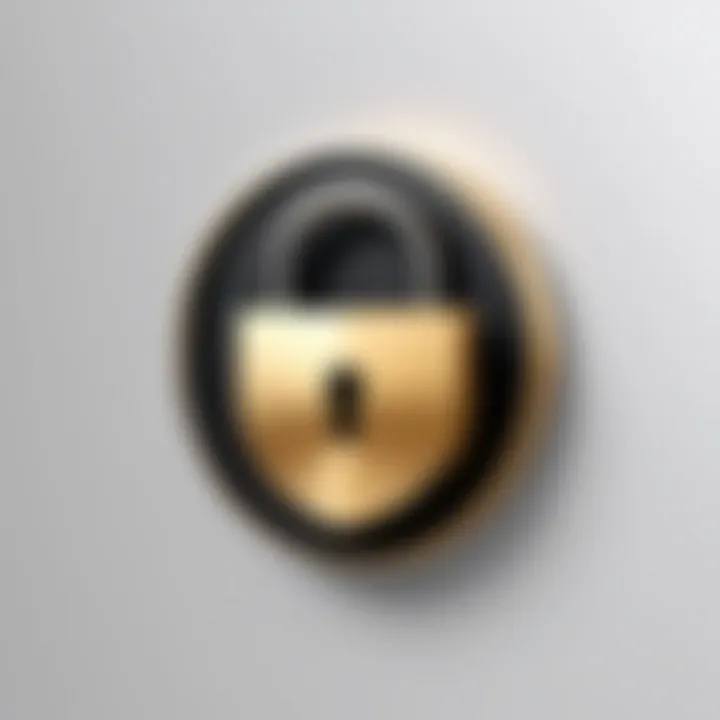 Privacy lock icon symbolizing secure location sharing