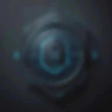 Privacy and Security Symbol