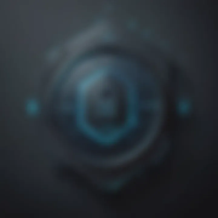 Privacy and Security Symbol