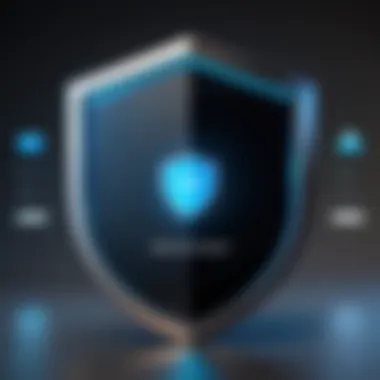 Privacy Shield Concept