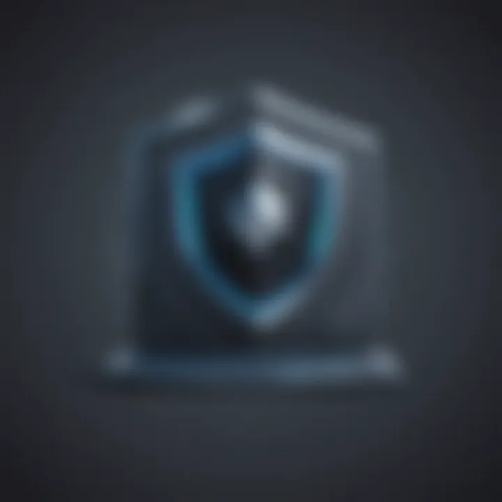 Privacy Shield Icon