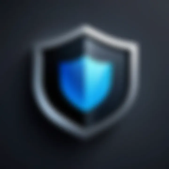 Privacy shield icon