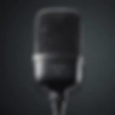 High-Quality Microphone for Audio Recording Professional microphone for audio recording