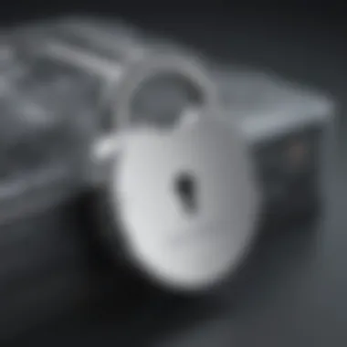 Secure Lock Shielding Digital Data Secure Lock Shielding Digital Data
