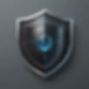 Privacy Protection Shield Privacy Protection Shield