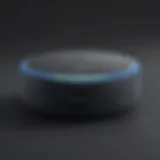 Sleek and Elegant Design Echo Dot