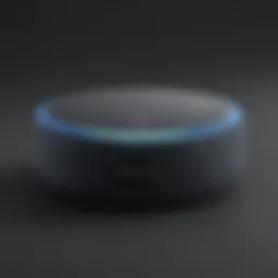 Sleek and Elegant Design Echo Dot