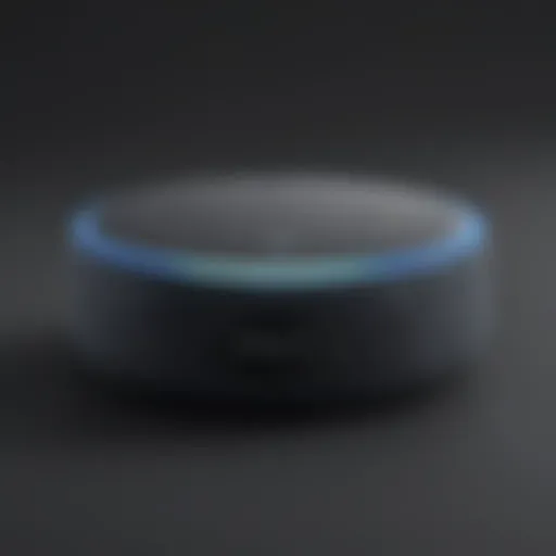 Sleek and Elegant Design Echo Dot