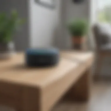 Smart Home Integration Echo Dot