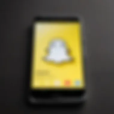 Snapchat app successfully installed on Google device