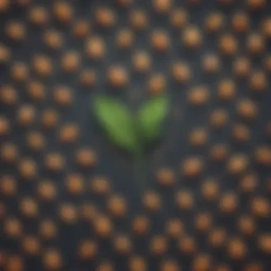 Seeds of Resilience Seeds of Resilience