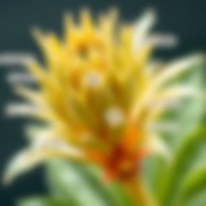 Detailed Plant Features for Accurate Identification Close-up of a plant with detailed features highlighted for identification and learning