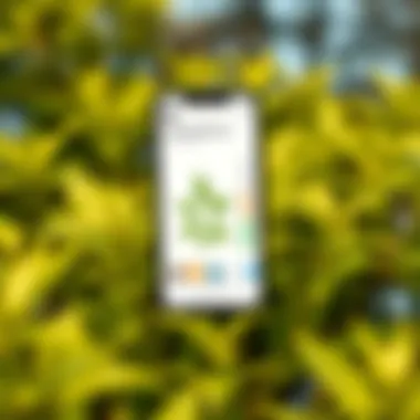 Innovative Plant Identification App on Smartphone A smartphone displaying a plant identification app interface with vibrant green foliage in the background
