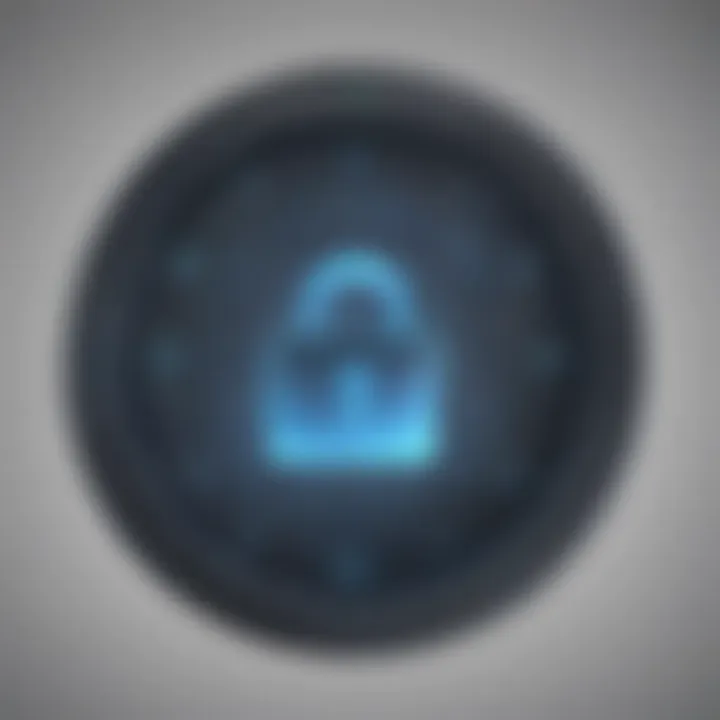 Lock icon representing privacy protection