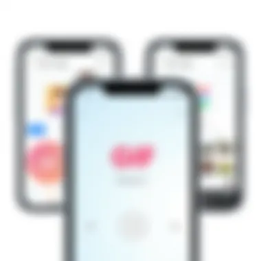 User Interface of GIF Maker App User interface of a popular GIF maker app on iPhone