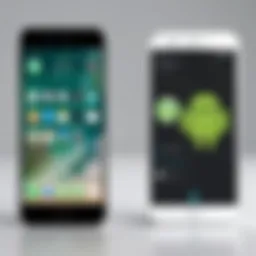 Visual representation of Android and iPhone devices