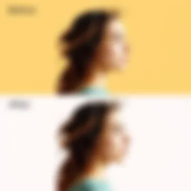 Before and after comparison of an image with and without background