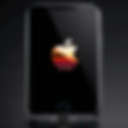 iPhone displaying the Apple logo during a boot loop