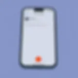 iPhone Call Management Settings Illustration of iPhone settings for managing calls