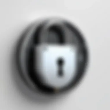 File Encryption Concept Illustration of file encryption concept with a digital lock