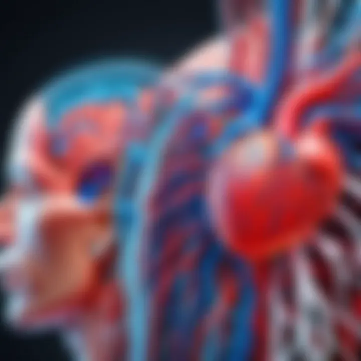 Visual representation of the autonomic nervous system