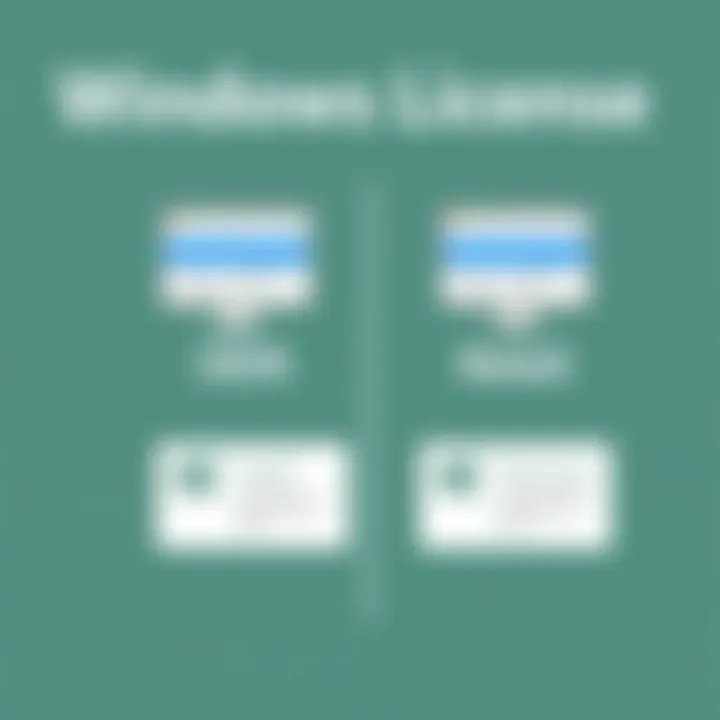 Comparison chart of OEM and retail Windows licenses