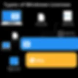 Visual representation of Windows licensing types