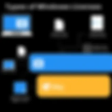 Visual representation of Windows licensing types